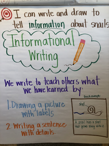 informational writing 